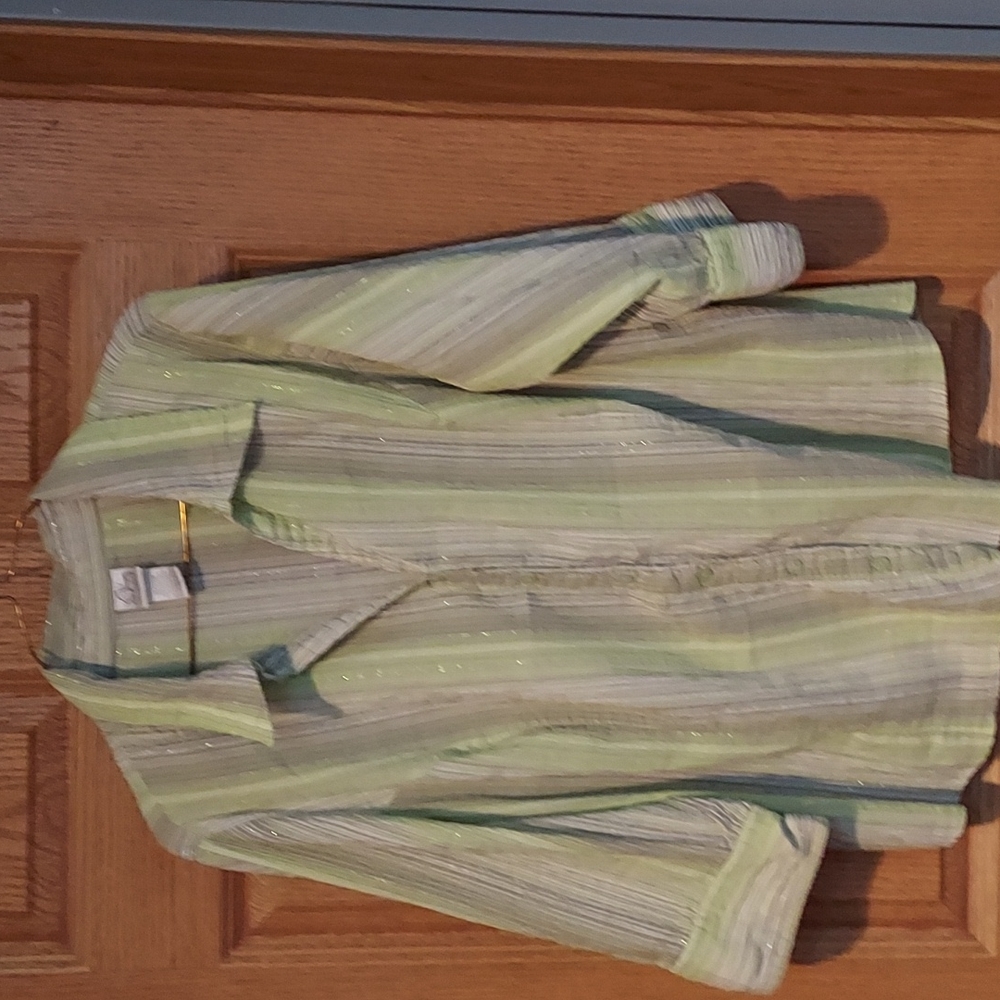 Blouse. Shades of greens and white with a little sparkle in there also.